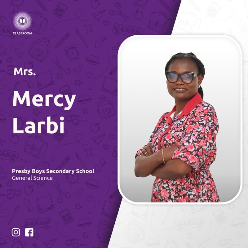 Mrs. Mercy Larbi